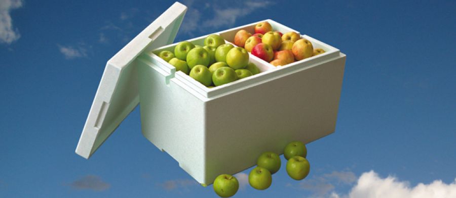 Obstbox, Lagerbox für früchte aus Styropor